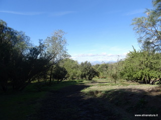 sco di Centorbi-18-10-2020 10